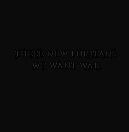 These New Puritans – We Want War