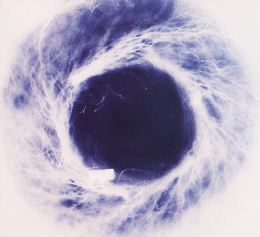 Yoko Ono/Thurston Moore/Kim Gordon – Yokokimthurston