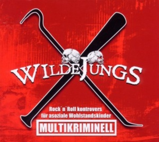 Wilde Jungs – Multikriminell