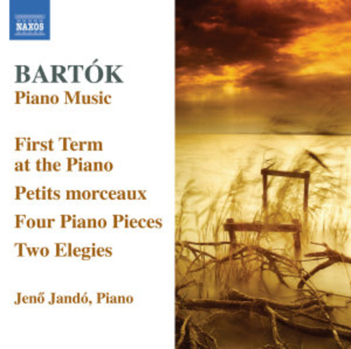 Jenö Jandó – Piano Music Vol. 6