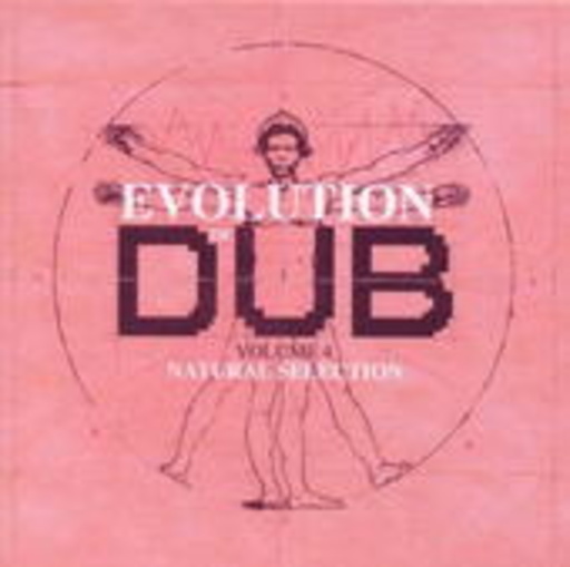 The Evolution Of Dub Vol. 4