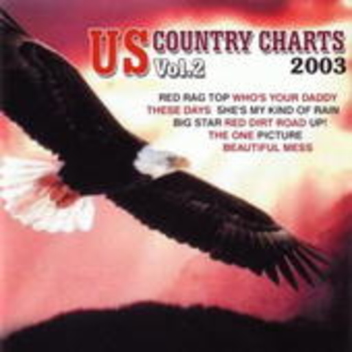 Diverse – US Country-Charts 2003/2