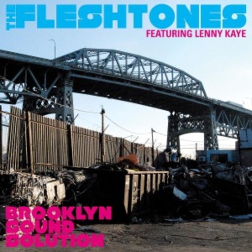 The Fleshtones – Brooklyn Sound Solution