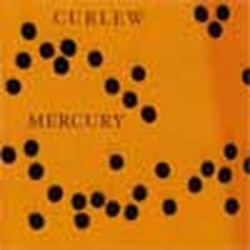 Curlew – Mercury