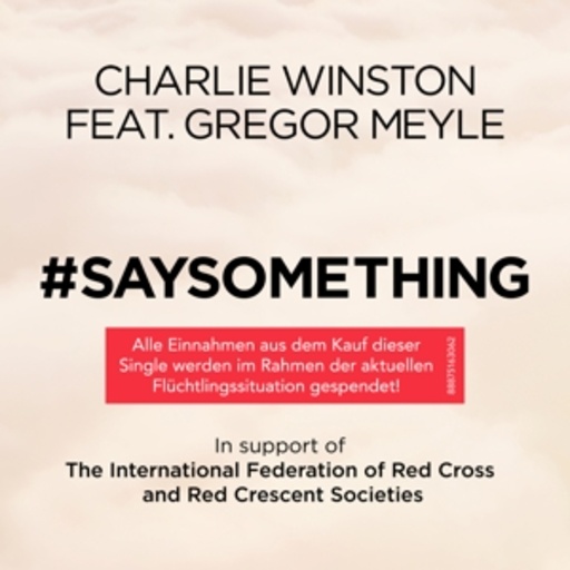 Charlie Winston feat. Gregor Meyle – Say Something