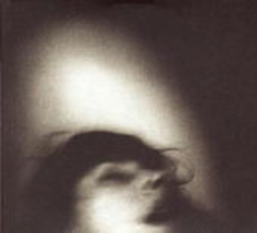 Set Fire To Flames – Telegraphs In Negative/Mouths Trapped In Static