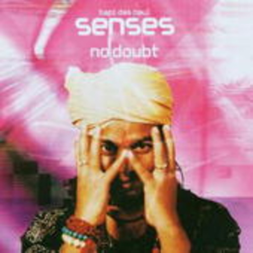 Senses – No Doubt