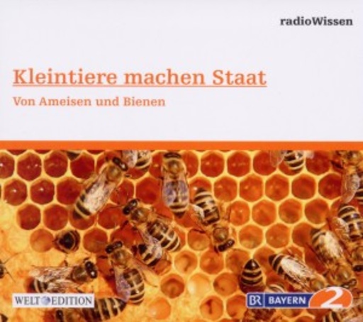 RadioWissen-Wissenschaft – Kleintiere machen Staat