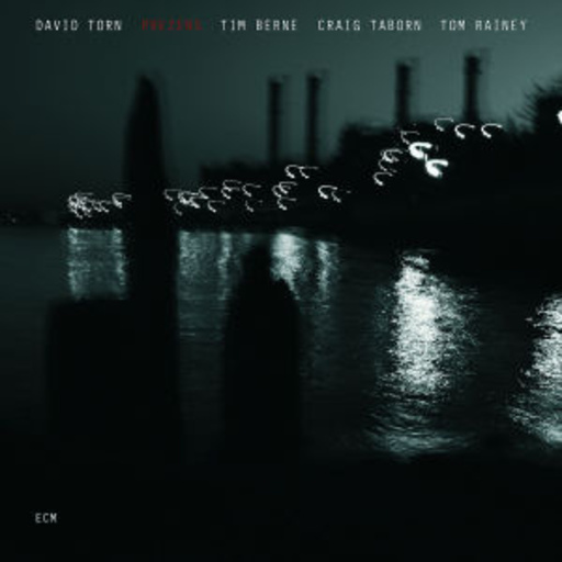 David Torn – Prezens