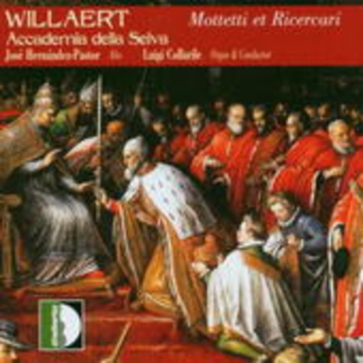 Luigi Collarile/Accademia Della Selva – Mottetti Et Ricercari