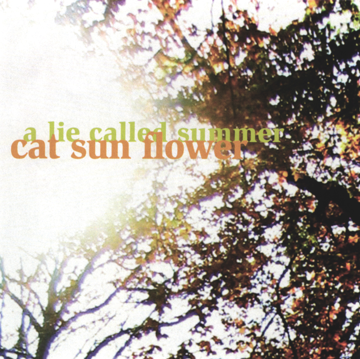 Cat Sun Flower – A Lie Called Summer