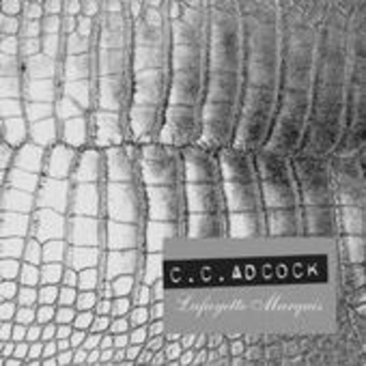 C.C. Adcock – The Lafayette Marquis