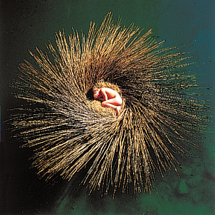 Peter Gabriel – Ovo The Millennium Show