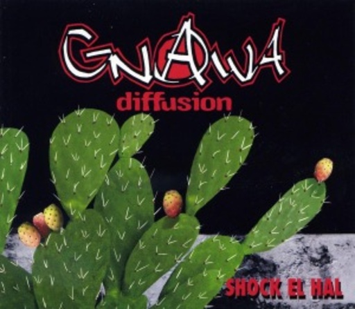 Gnawa Diffusion – Shock El Hal