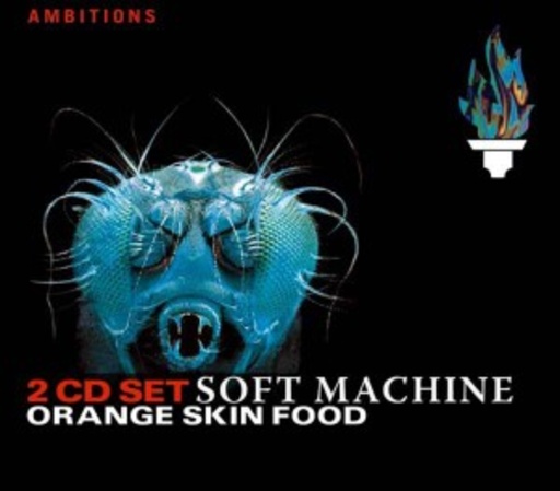 Orange Skin Food