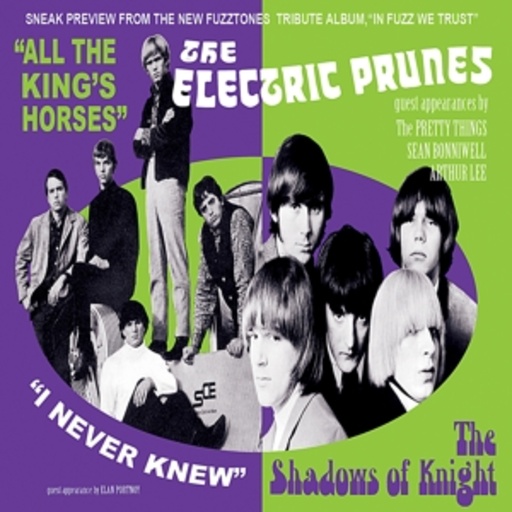 The Electric Prunes/The Shadows Of Knight – All The King's Horses/I Never Knew