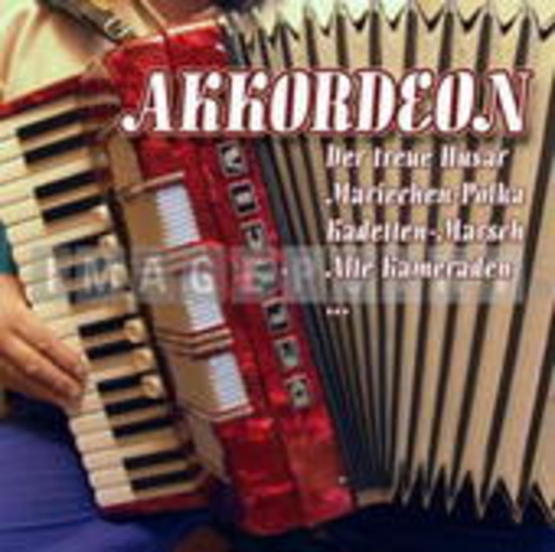 Diverse – Akkordeon