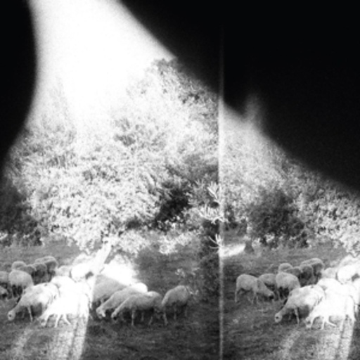 Godspeed You! Black Emperor – Asunder, Sweet And Other Distress