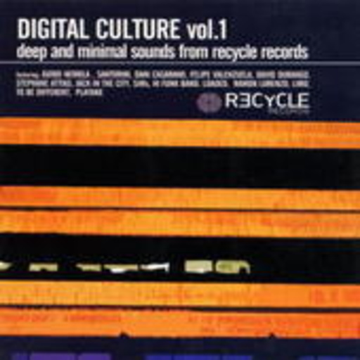 Diverse – Digital Culture Vol. 1
