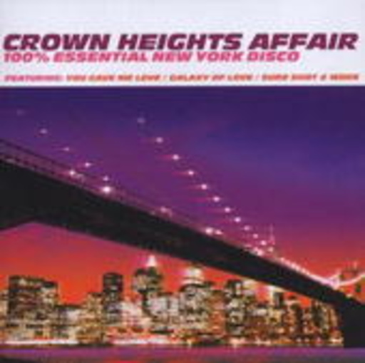 100% Essential New York Disco