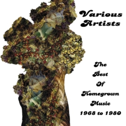 Diverse – The Best Of Homegrown Music 1968-1980