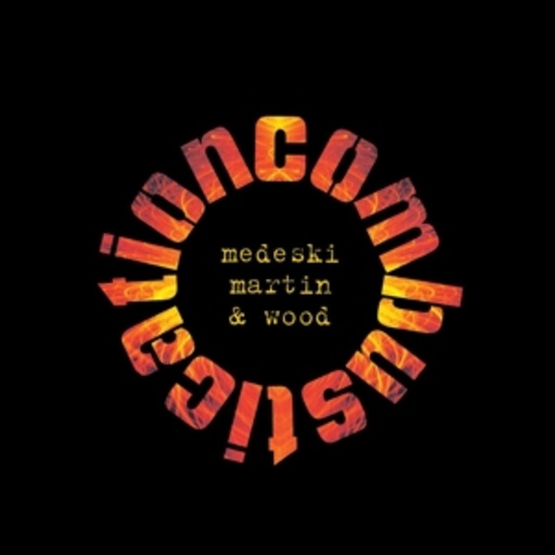 Medeski Martin & Wood – Combustication