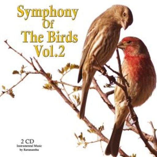 Ravanantha – Symphony Of The Birds Vol. 2