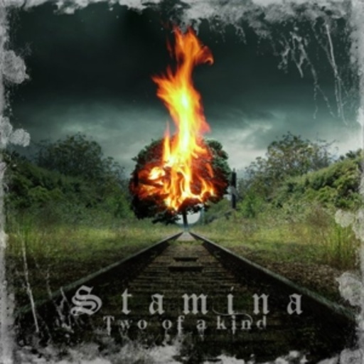 Stamina – Two Of A Kind