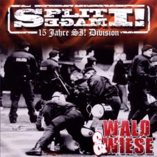Split Image – Wald und Wiese