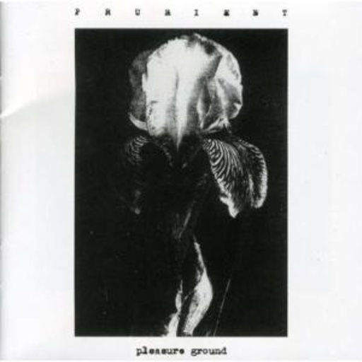 Prurient – Pleasure Ground