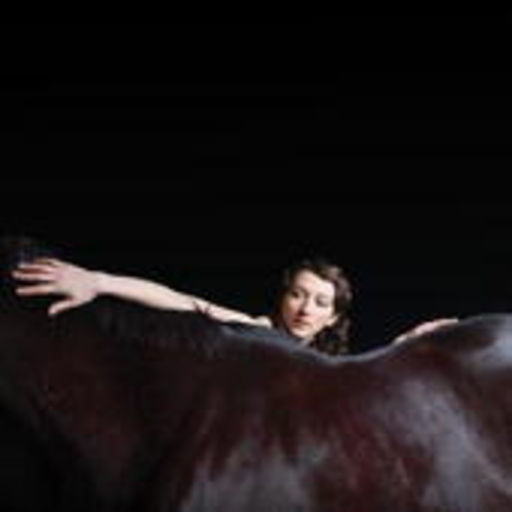 My Brightest Diamond – Bring Me The Workhorse