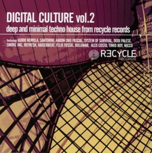 Diverse – Digital Culture Vol. 2 - Deep And Minimal Techno House From Recycle Records