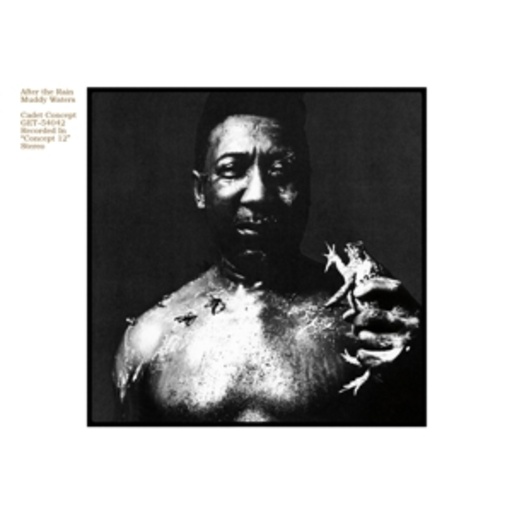 Muddy Waters – After The Rain