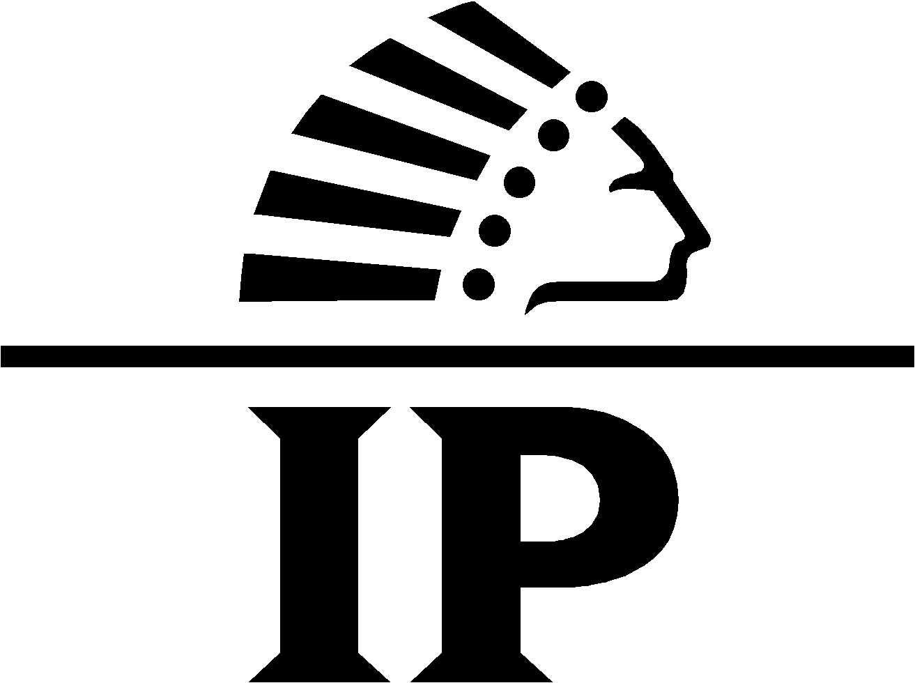 IP Newmedia