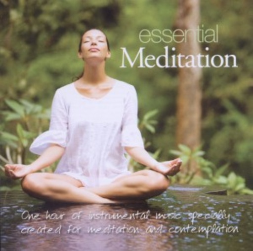 Patrick Kelly – Essential Meditation