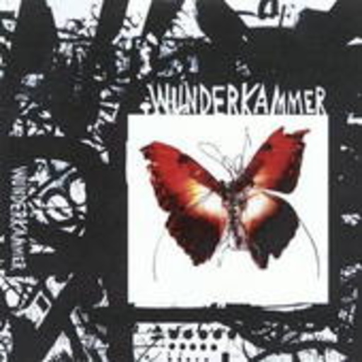 Wunderkammer – Today I Cannot Hear Music