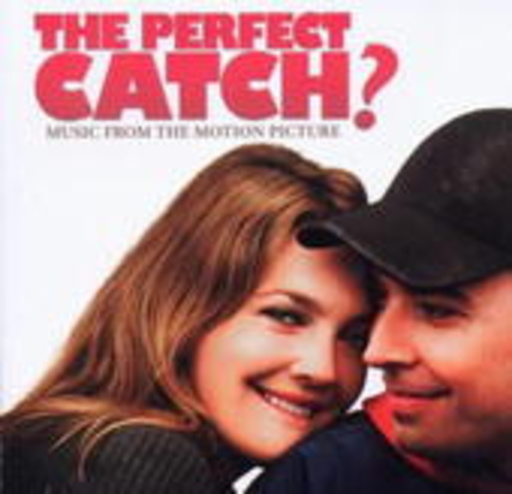 Diverse – The Perfect Catch?