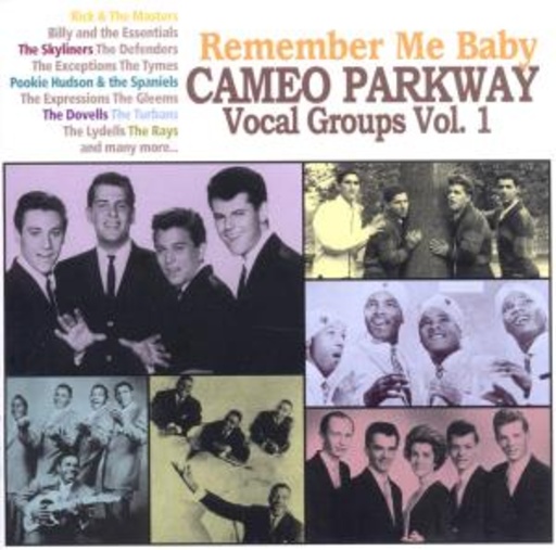 Diverse – Remember Me Baby - Cameo Parkway Vocal Groups Vol. 1