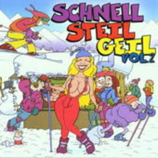 Diverse – Schnell Steil Geil Vol. 2