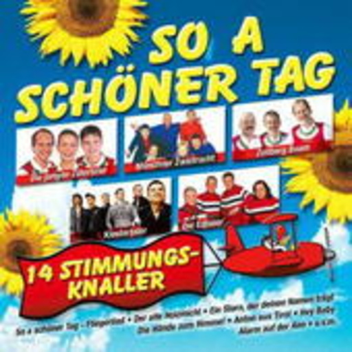 Diverse – So a schöner Tag - 14 Stimmungs-Knaller