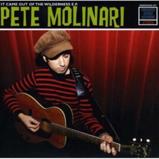 Pete Molinari – It Came Out Of The Wilderness E.P.
