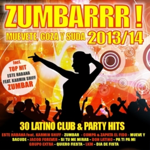 Diverse – Zumbarrr!