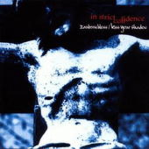 In Strict Confidence – Zauberschloss/Kiss Your Shadow