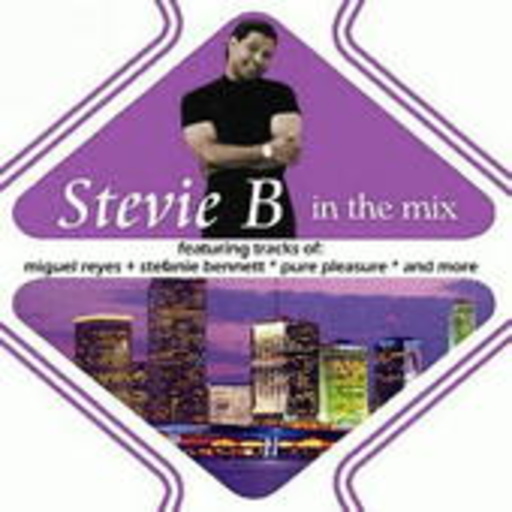 Diverse – Stevie B In The Mix