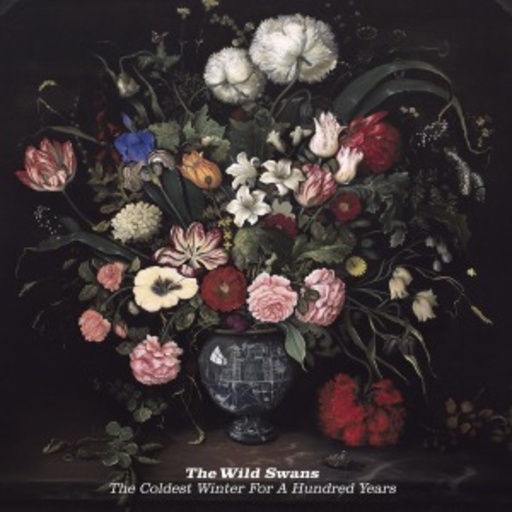 The Wild Swans – The Coldest Winter For A Hundred Years
