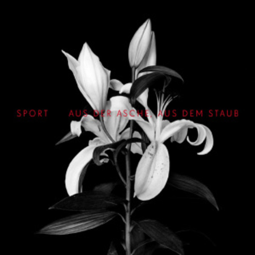 Sport – Aus der Asche, aus dem Staub