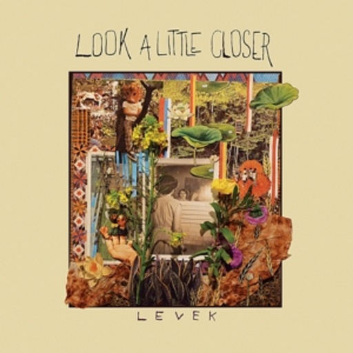 Levek – Look A Little Closer