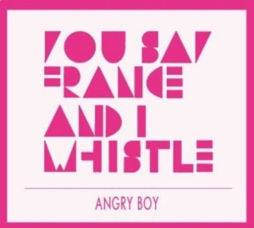 You Say France And I Whistle – Angry Boy