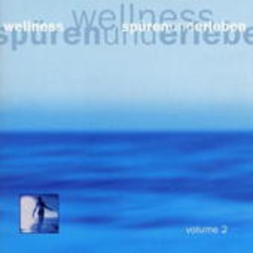 Diverse – Wellness 2 - Spüren und Erleben