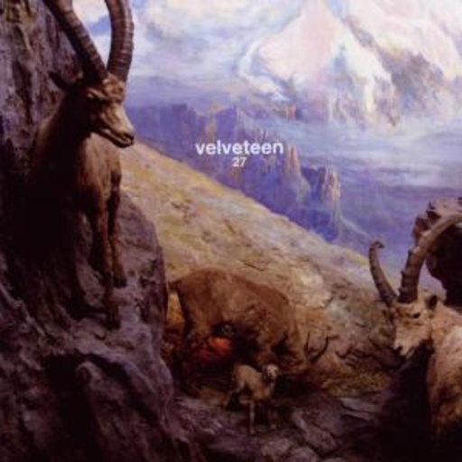 Velveteen – 27